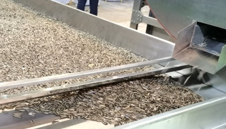 葵花产业成地方发展“金名片” 筛分设备应用提升产品竞争力