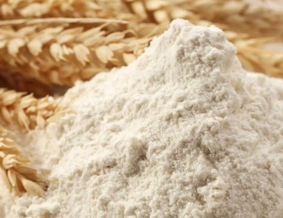 用于筛面粉的不锈钢旋转振动筛的价格是多少？